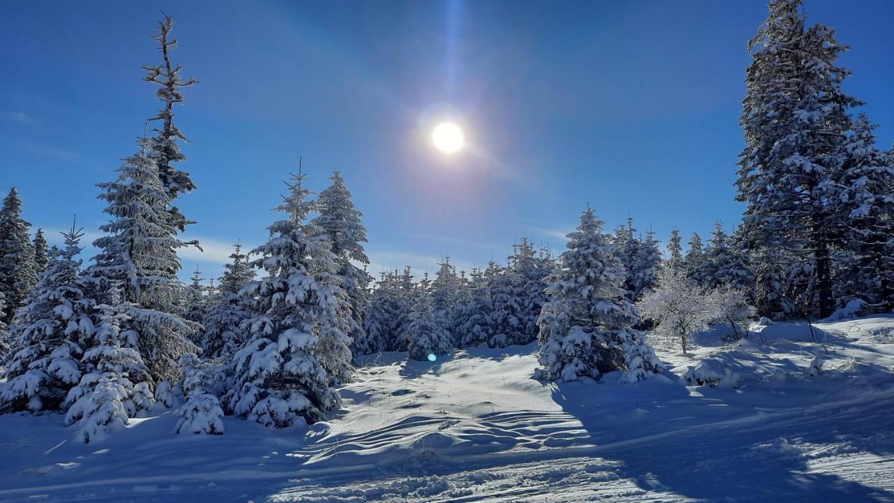 Belle Air Lodge Меніхкірхен Екстер'єр фото